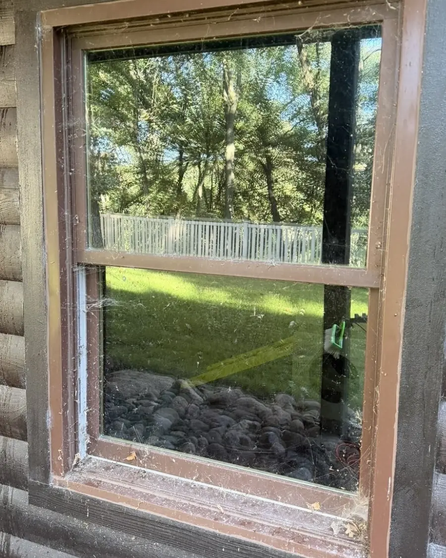 Window glass and frame covered in dust and cobwebs before cleaning